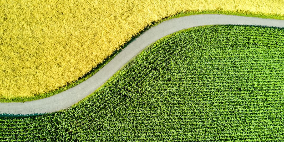 Sustainability