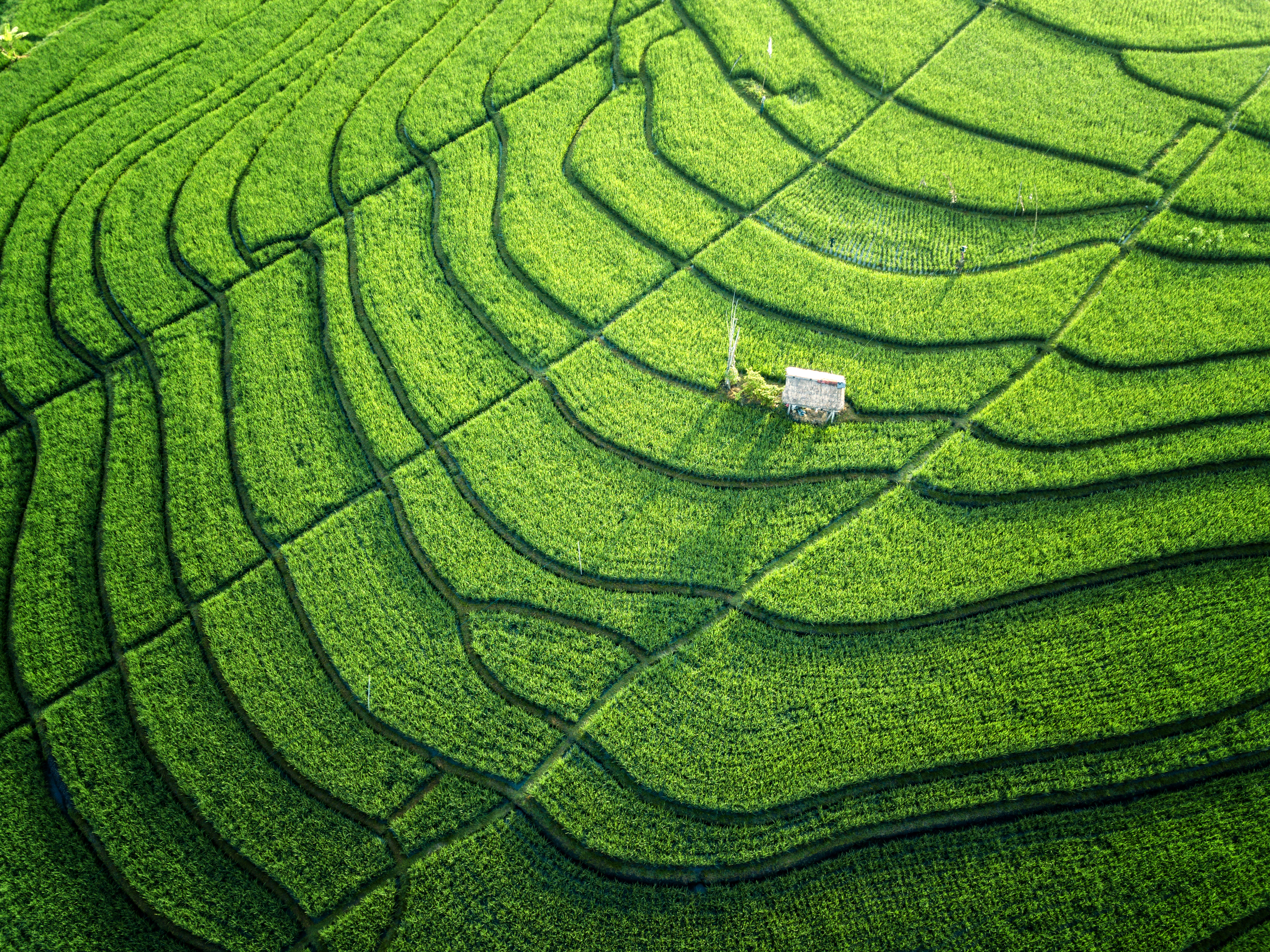 A roundup on Roundup: What the ruling signals for casualty liability