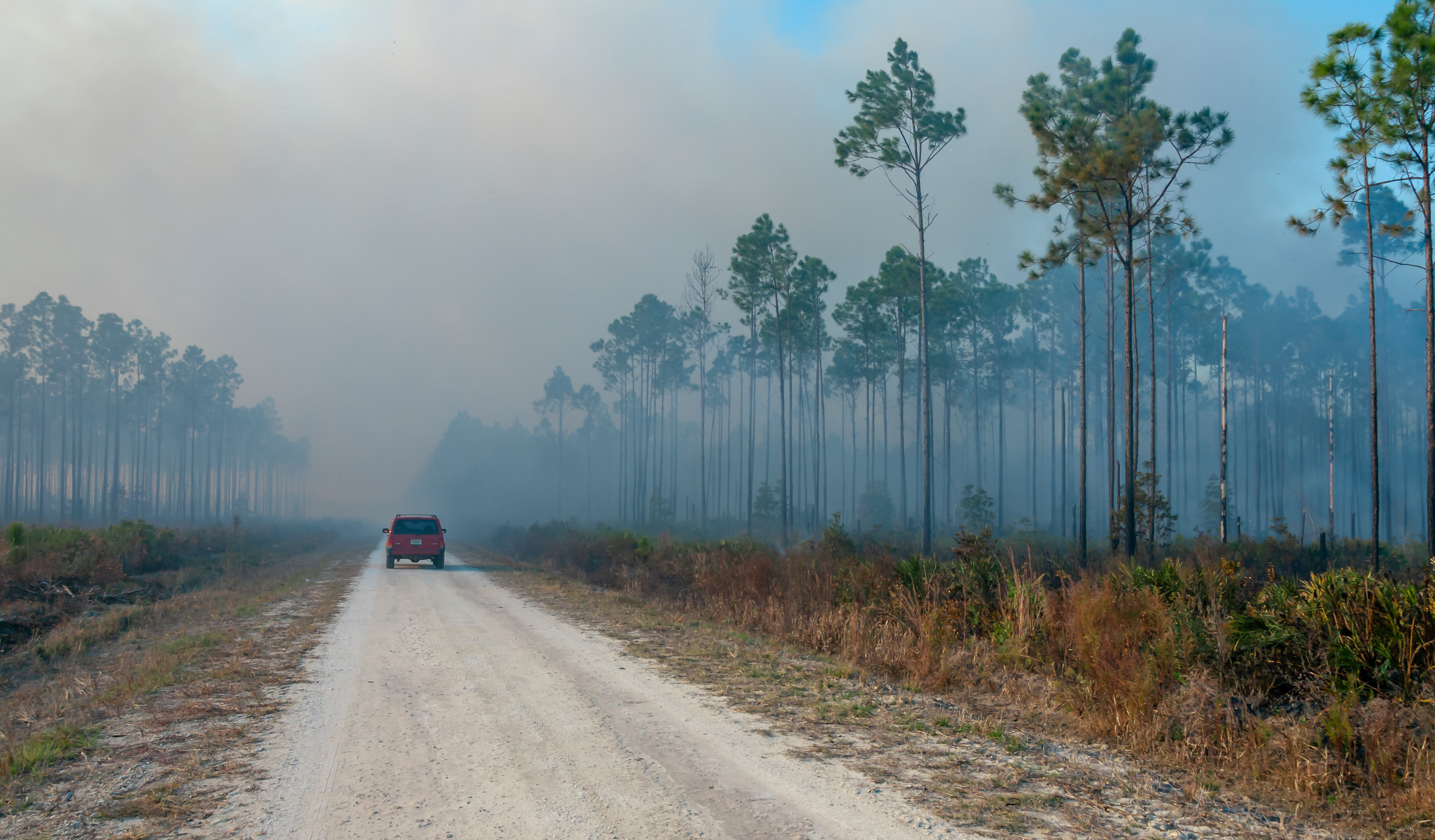 Georgia and Florida wildfires highlight wildfire risk beyond the Western U.S.