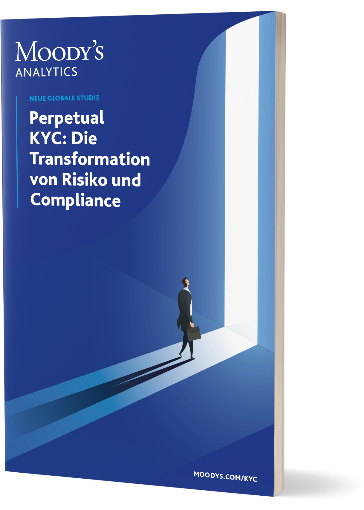 pKYC report