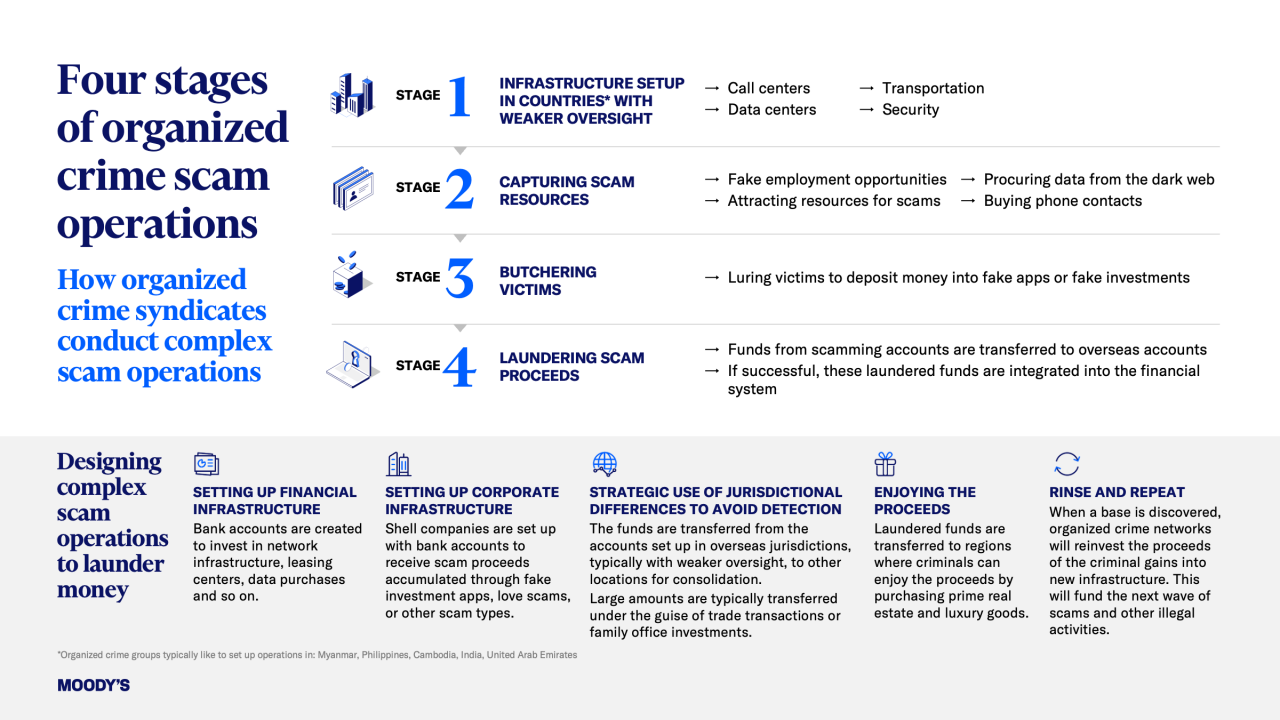 Four stages of organized crime scam operations infographic
